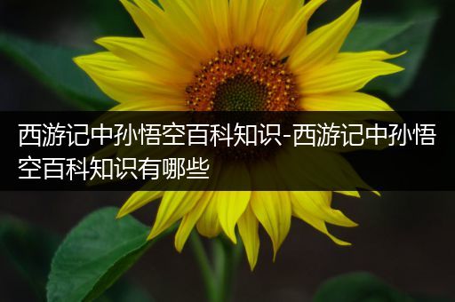 西游记中孙悟空百科知识-西游记中孙悟空百科知识有哪些