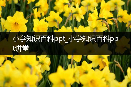 小学知识百科ppt_小学知识百科ppt讲堂