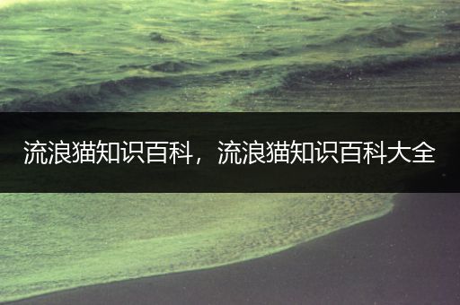 流浪猫知识百科，流浪猫知识百科大全