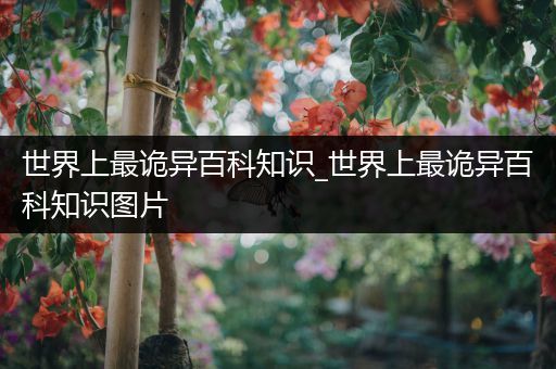 世界上最诡异百科知识_世界上最诡异百科知识图片