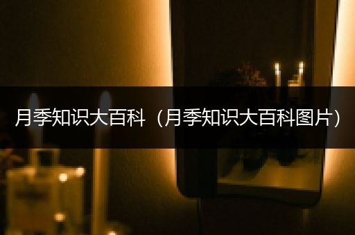 月季知识大百科（月季知识大百科图片）