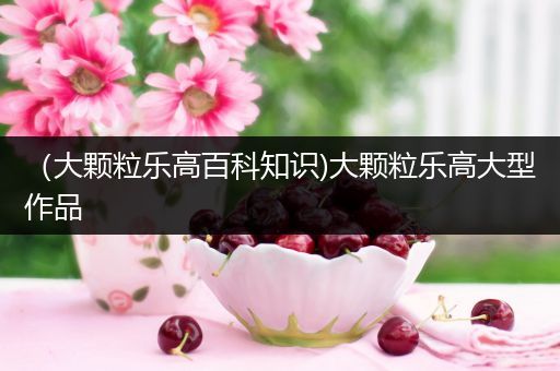 （大颗粒乐高百科知识)大颗粒乐高大型作品