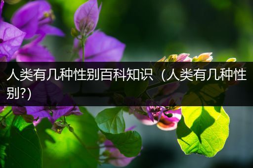 人类有几种性别百科知识（人类有几种性别?）