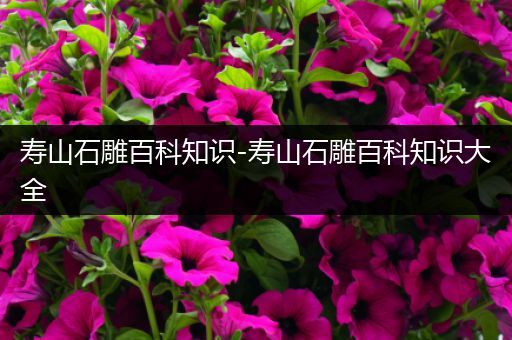 寿山石雕百科知识-寿山石雕百科知识大全