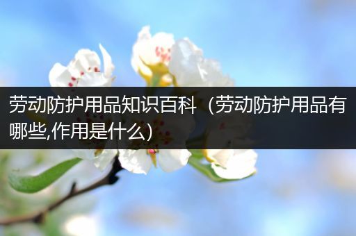 劳动防护用品知识百科（劳动防护用品有哪些,作用是什么）