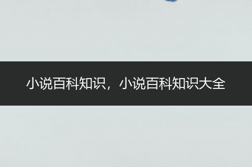 小说百科知识，小说百科知识大全