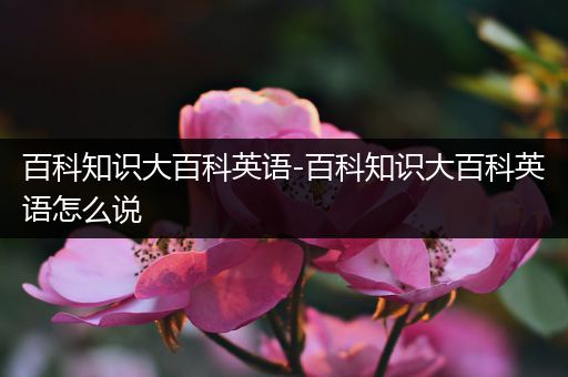 百科知识大百科英语-百科知识大百科英语怎么说