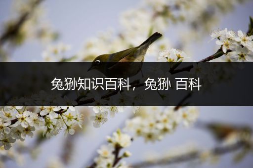 兔狲知识百科，兔狲 百科