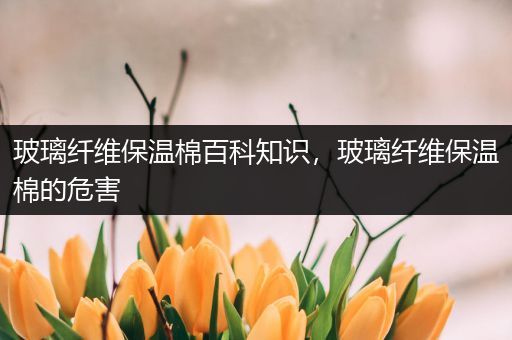 玻璃纤维保温棉百科知识，玻璃纤维保温棉的危害