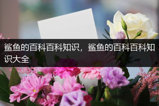 鲨鱼的百科百科知识，鲨鱼的百科百科知识大全