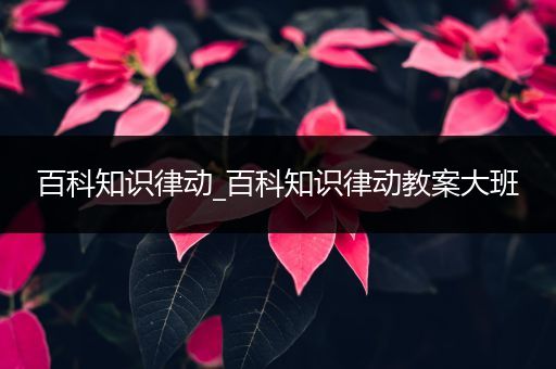 百科知识律动_百科知识律动教案大班