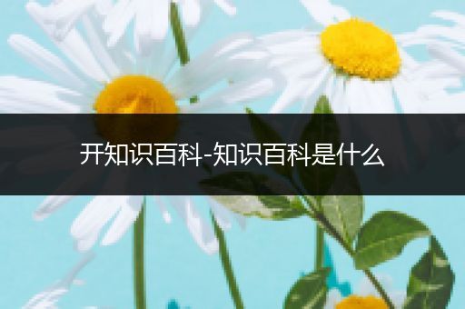 开知识百科-知识百科是什么