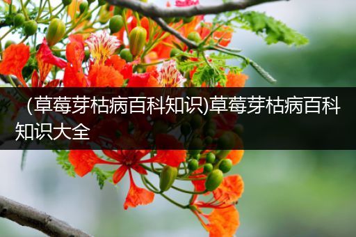 （草莓芽枯病百科知识)草莓芽枯病百科知识大全