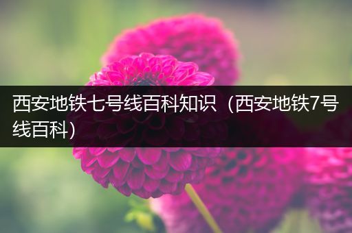 西安地铁七号线百科知识（西安地铁7号线百科）