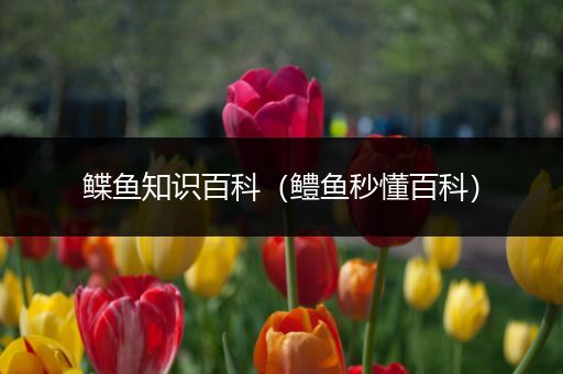 鲽鱼知识百科（鳢鱼秒懂百科）