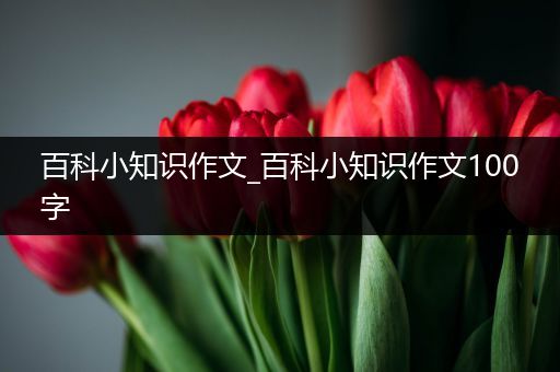 百科小知识作文_百科小知识作文100字