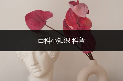 百科小知识 科普