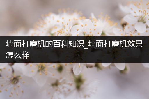 墙面打磨机的百科知识_墙面打磨机效果怎么样