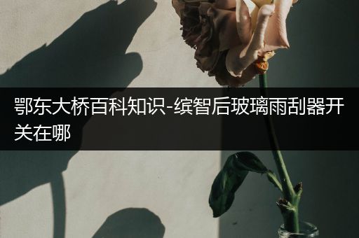 鄂东大桥百科知识-缤智后玻璃雨刮器开关在哪