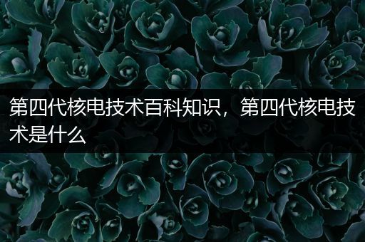 第四代核电技术百科知识，第四代核电技术是什么