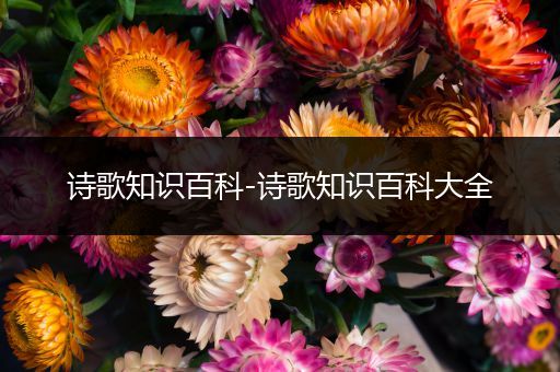 诗歌知识百科-诗歌知识百科大全