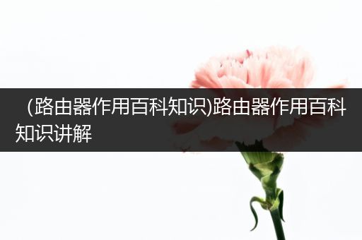 （路由器作用百科知识)路由器作用百科知识讲解