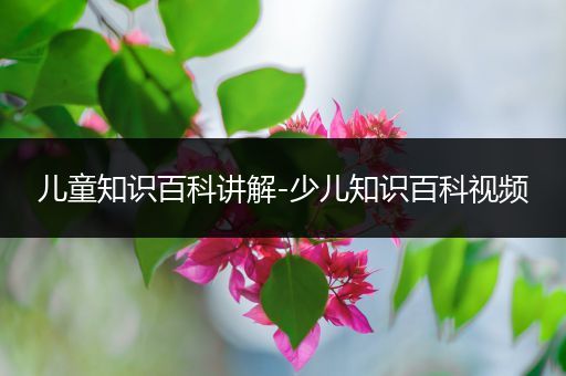 儿童知识百科讲解-少儿知识百科视频