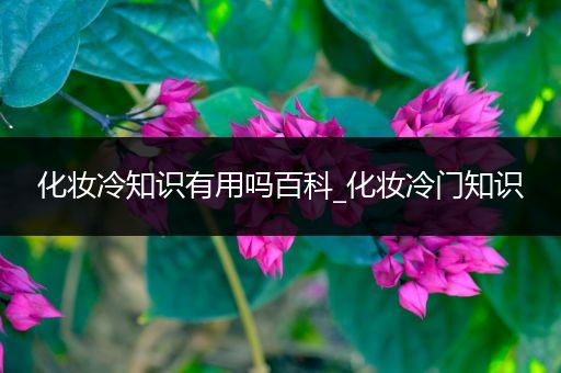 化妆冷知识有用吗百科_化妆冷门知识