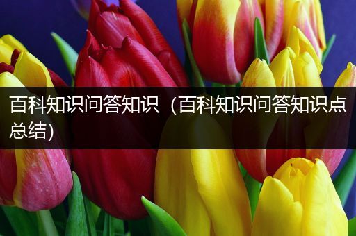 百科知识问答知识（百科知识问答知识点总结）