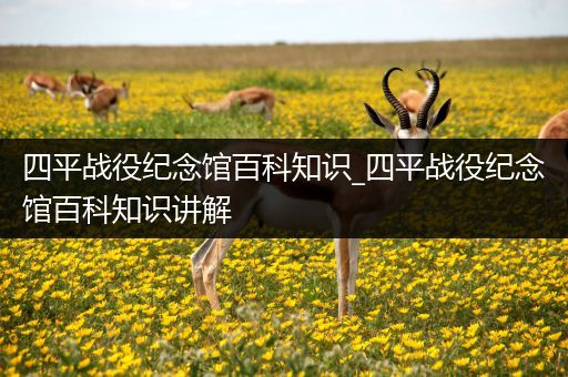 四平战役纪念馆百科知识_四平战役纪念馆百科知识讲解