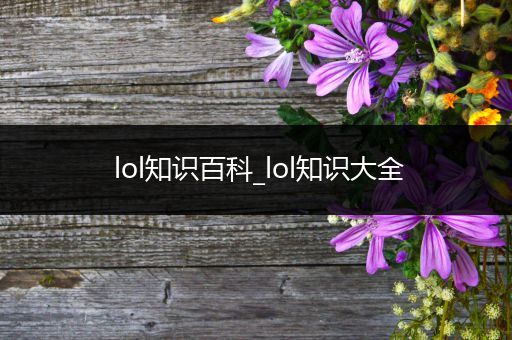 lol知识百科_lol知识大全