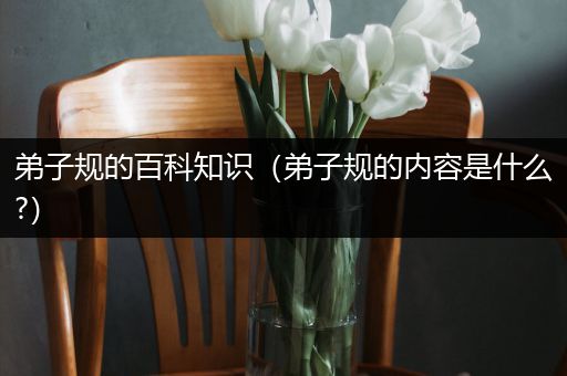 弟子规的百科知识（弟子规的内容是什么?）