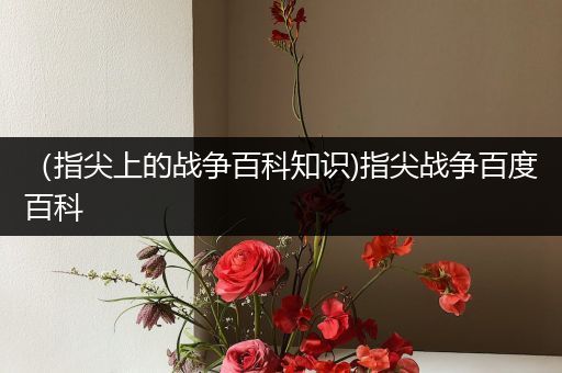 （指尖上的战争百科知识)指尖战争百度百科