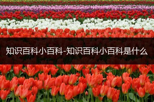 知识百科小百科-知识百科小百科是什么