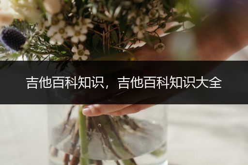 吉他百科知识，吉他百科知识大全