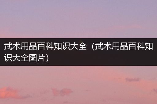武术用品百科知识大全（武术用品百科知识大全图片）