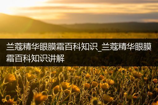 兰蔻精华眼膜霜百科知识_兰蔻精华眼膜霜百科知识讲解