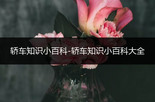 轿车知识小百科-轿车知识小百科大全