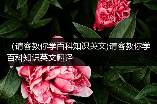（请客教你学百科知识英文)请客教你学百科知识英文翻译