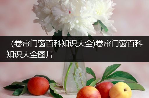 （卷帘门窗百科知识大全)卷帘门窗百科知识大全图片