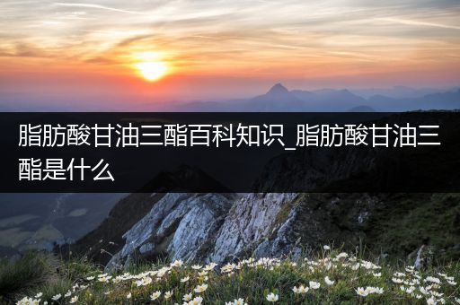 脂肪酸甘油三酯百科知识_脂肪酸甘油三酯是什么