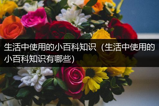 生活中使用的小百科知识（生活中使用的小百科知识有哪些）