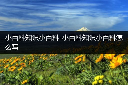 小百科知识小百科-小百科知识小百科怎么写