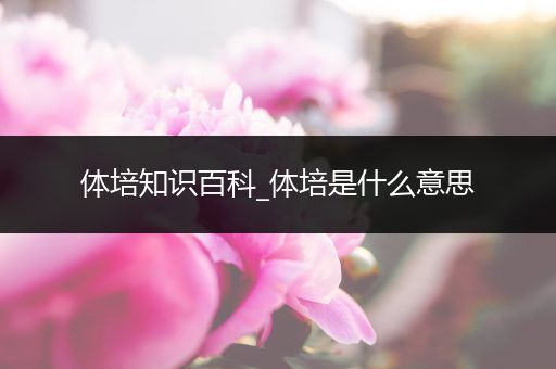 体培知识百科_体培是什么意思