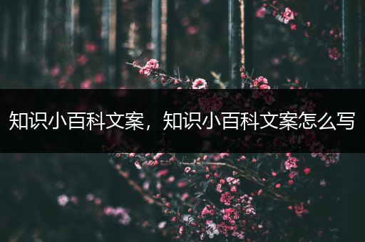 知识小百科文案，知识小百科文案怎么写