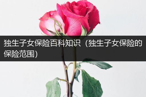 独生子女保险百科知识（独生子女保险的保险范围）