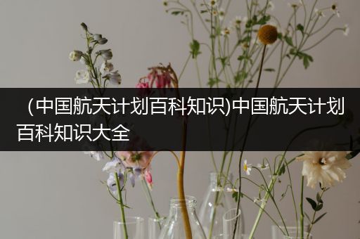 （中国航天计划百科知识)中国航天计划百科知识大全