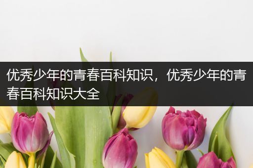 优秀少年的青春百科知识，优秀少年的青春百科知识大全