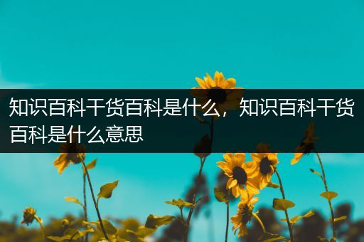 知识百科干货百科是什么，知识百科干货百科是什么意思