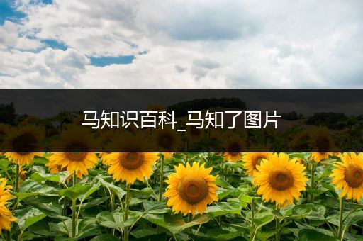 马知识百科_马知了图片